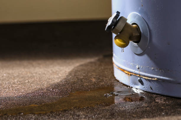 Best Water damage restoration near me  in Centreville, AL
