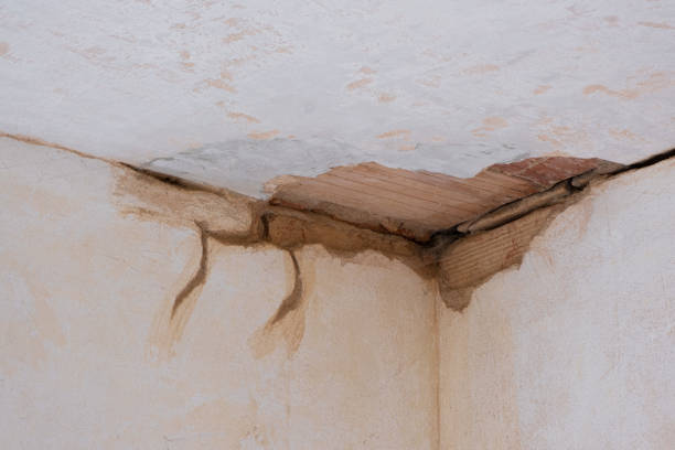 Best Flooded house restoration  in Centreville, AL