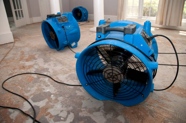 Best Water damage restoration near me  in Centreville, AL