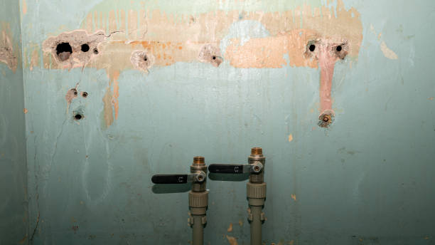 Best 24-hour water damage restoration  in Centreville, AL