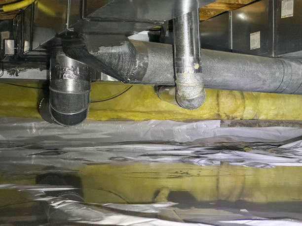 Best Water damage contractors near me  in Centreville, AL