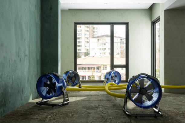 Best Water damage cleanup near me  in Centreville, AL